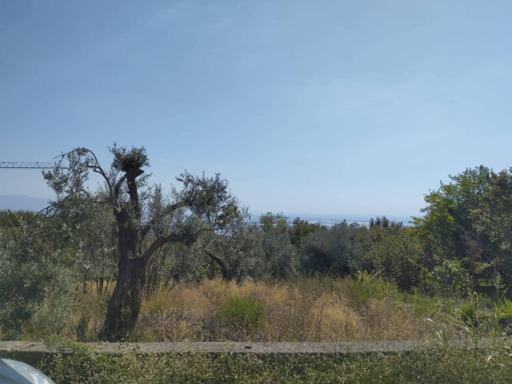 Terreno a Montecorvino pugliano in Via Sorrentiello - Foto 3
