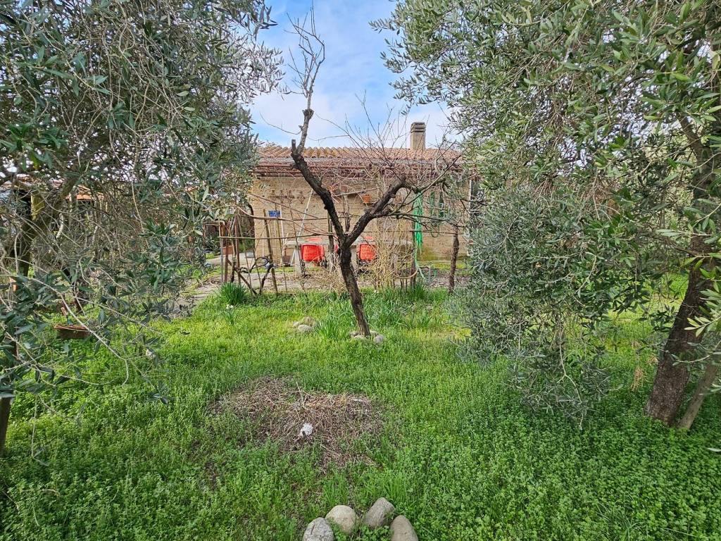 Terreno a Grosseto in Via Aurelia Nord - Foto 3