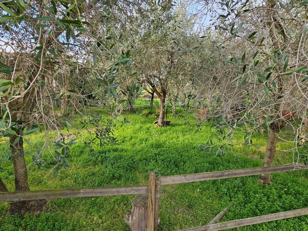 Terreno a Grosseto in Via Aurelia Nord - Foto 4