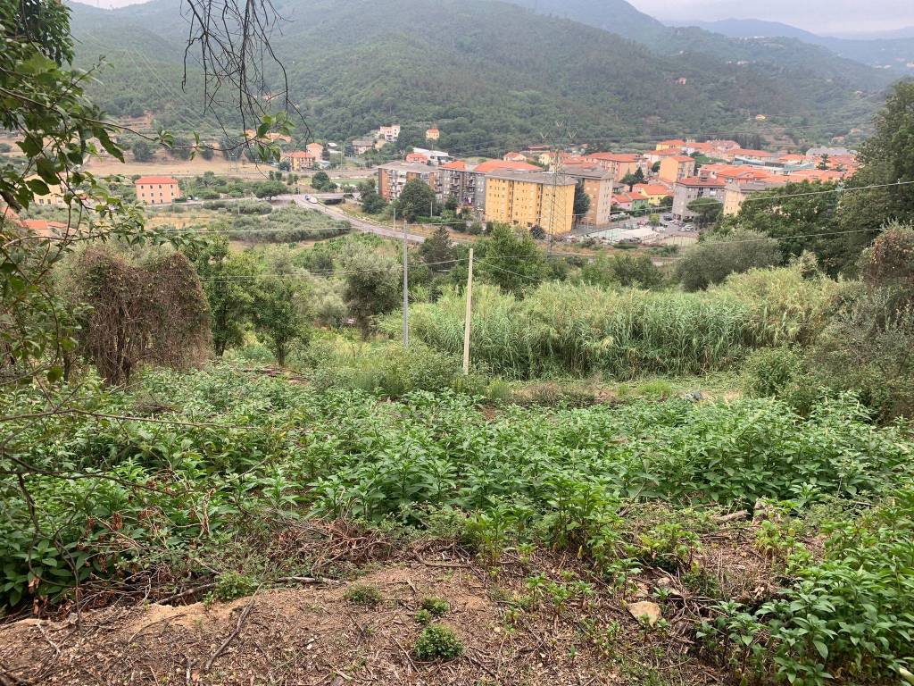 Terreno a Quiliano in Via Rive - Foto 2