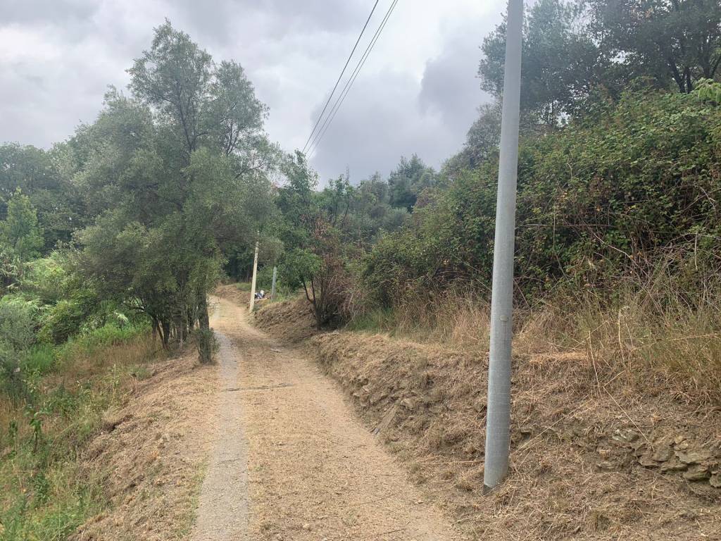 Terreno a Quiliano in Via Rive - Foto 3