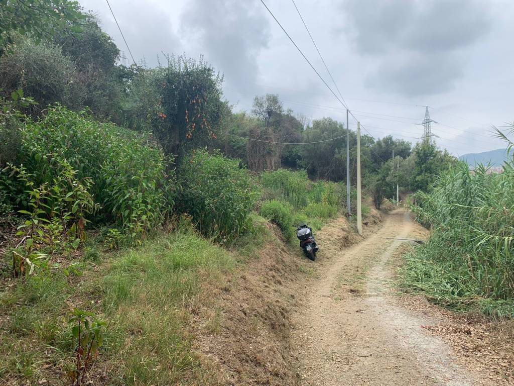 Terreno a Quiliano in Via Rive - Foto 5