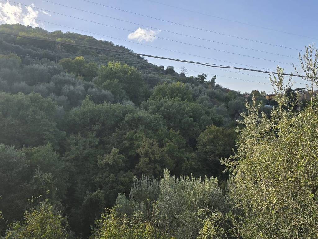 Terreno a Piegaro in Vocabolo Baccanelle - Foto 5