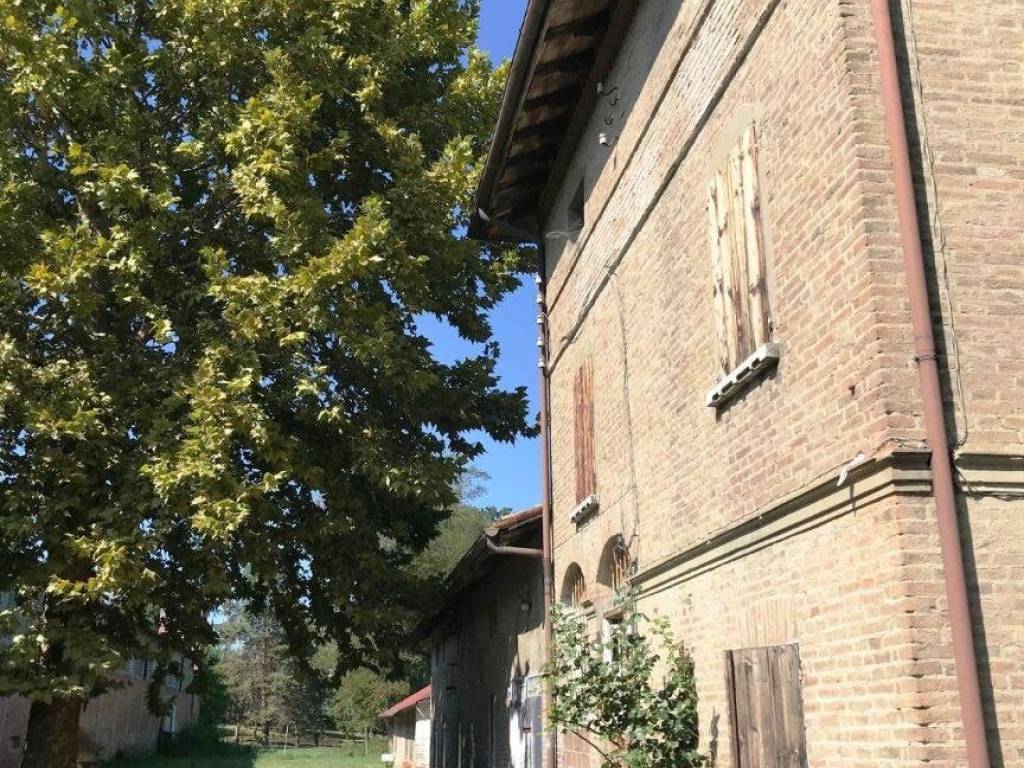 Rustico / casale a Casalgrande - Foto 3