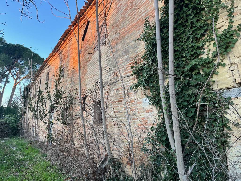 Rustico / casale a Monte san vito - Foto 3