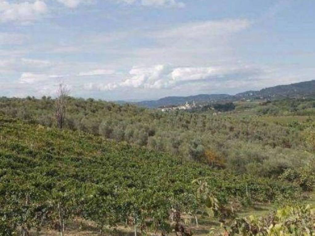 Rustico / casale a Vinci in Via Mario Cermenati - Foto 5