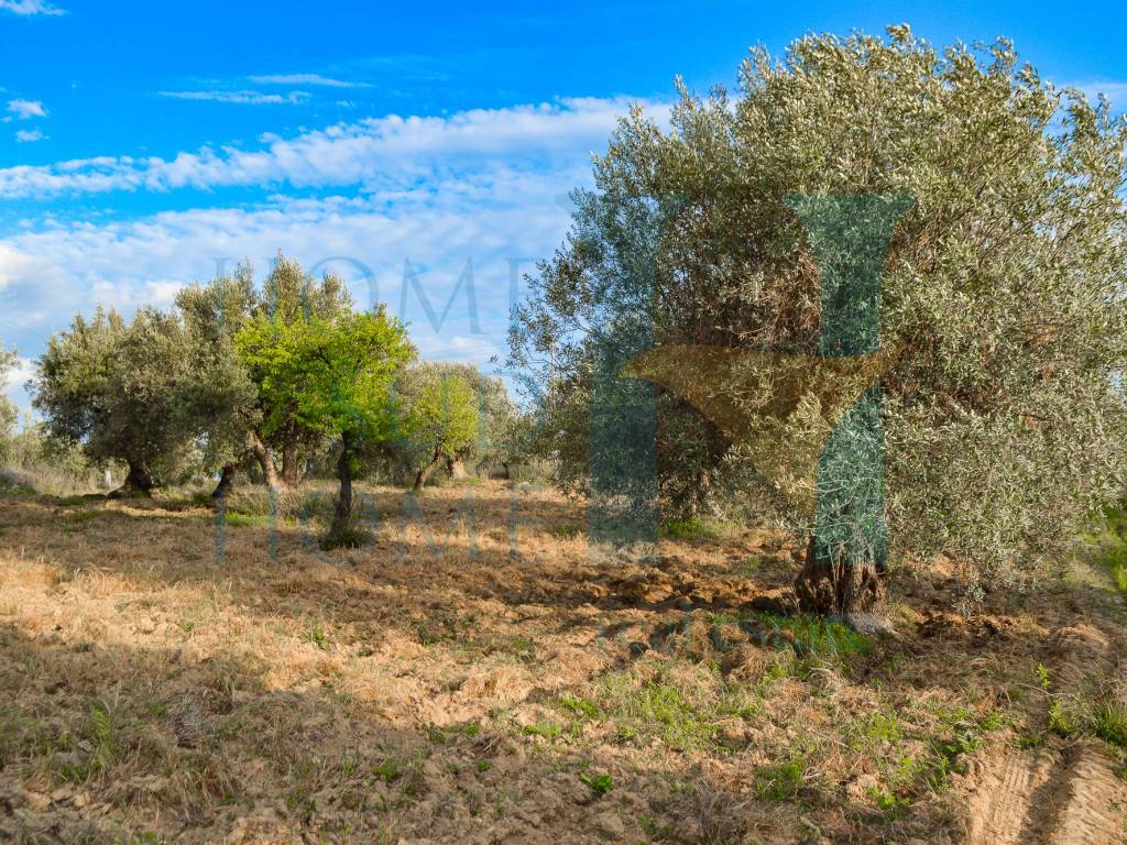 Terreno a Noto - Foto 2