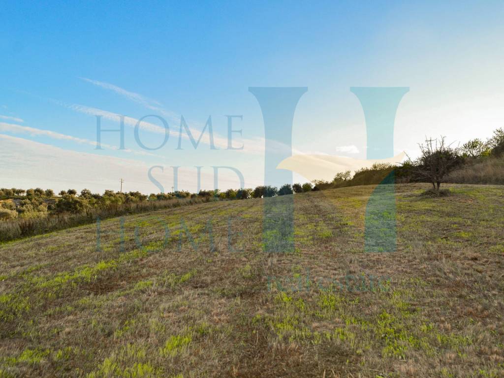 Terreno a Noto - Foto 3