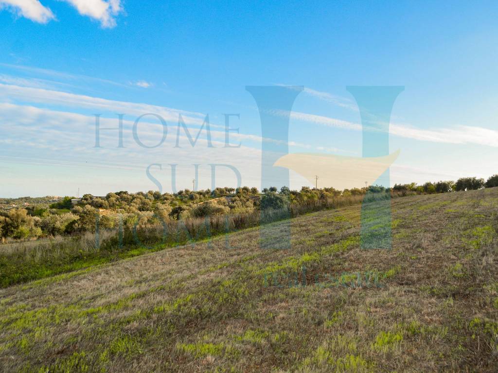 Terreno a Noto - Foto 4