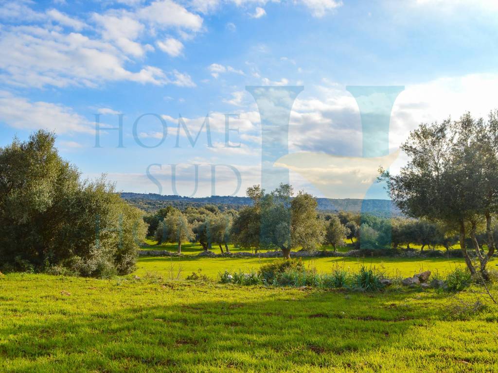 Rustico / casale a Noto - Foto 3