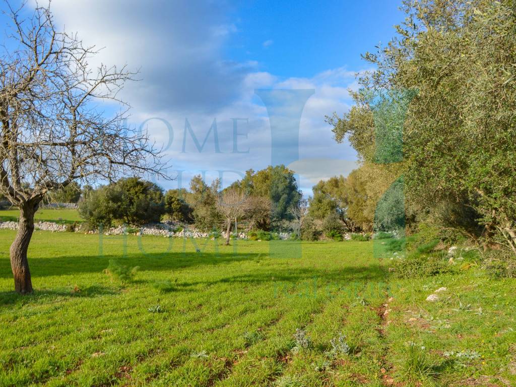 Rustico / casale a Noto - Foto 4