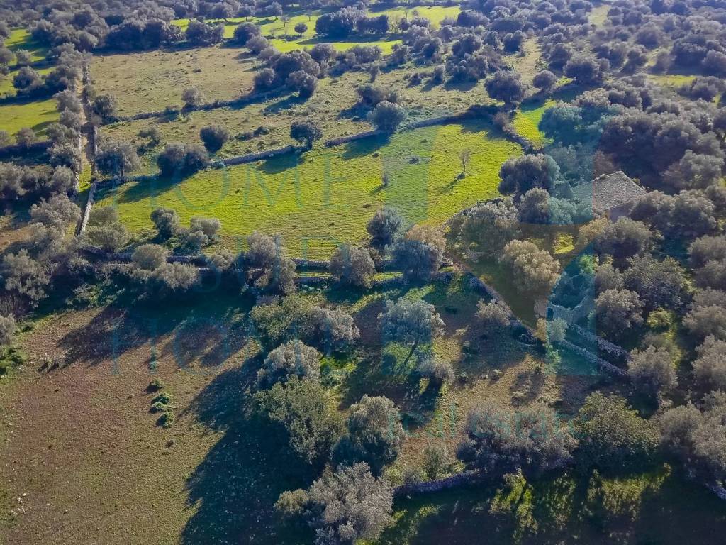 Rustico / casale a Noto - Foto 5