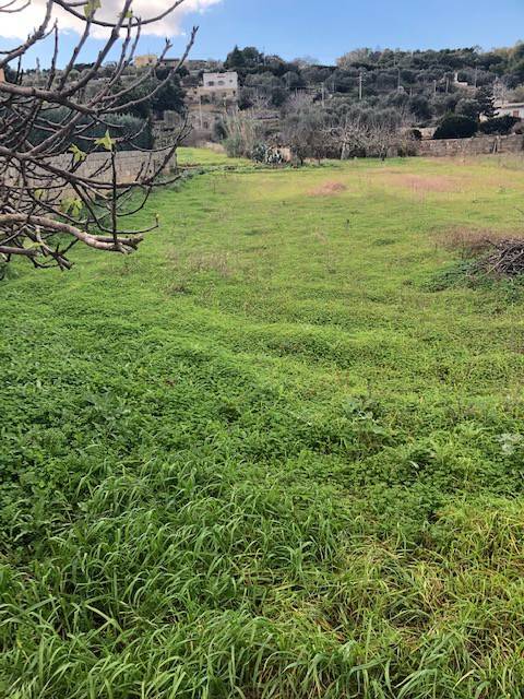 Terreno a Tricase - Foto 3