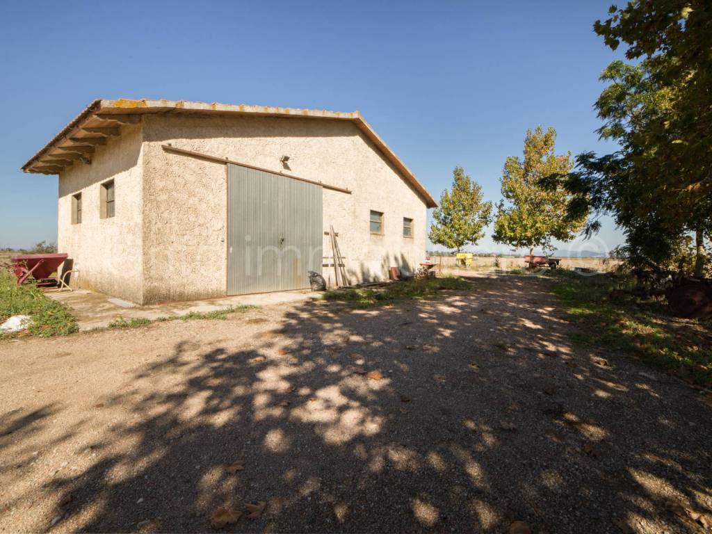 Terreno a Grosseto in Strada Provinciale Alberese - Foto 2