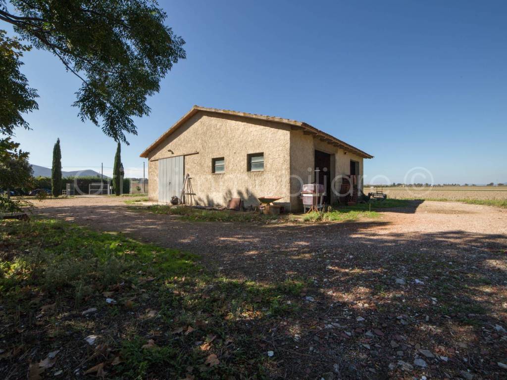 Terreno a Grosseto in Strada Provinciale Alberese - Foto 3