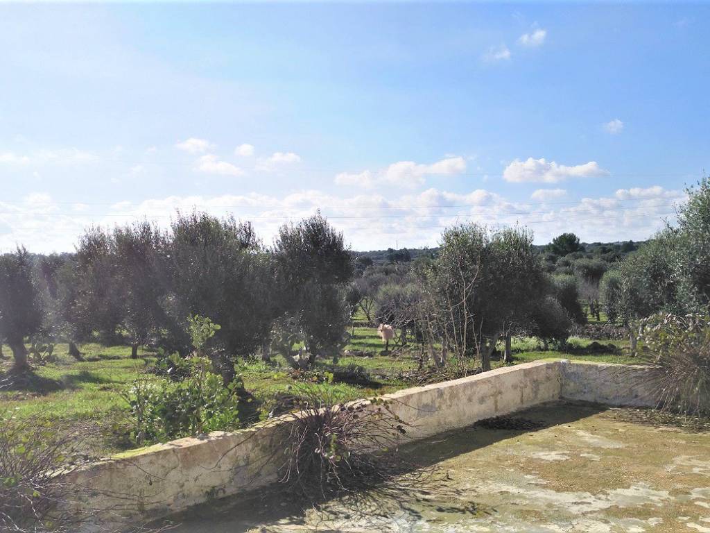 Villa a Carovigno - Foto 4