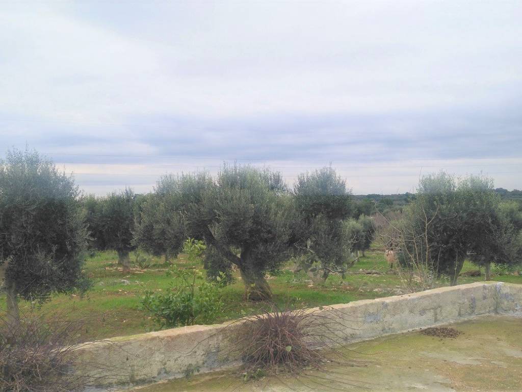 Villa a Carovigno - Foto 5