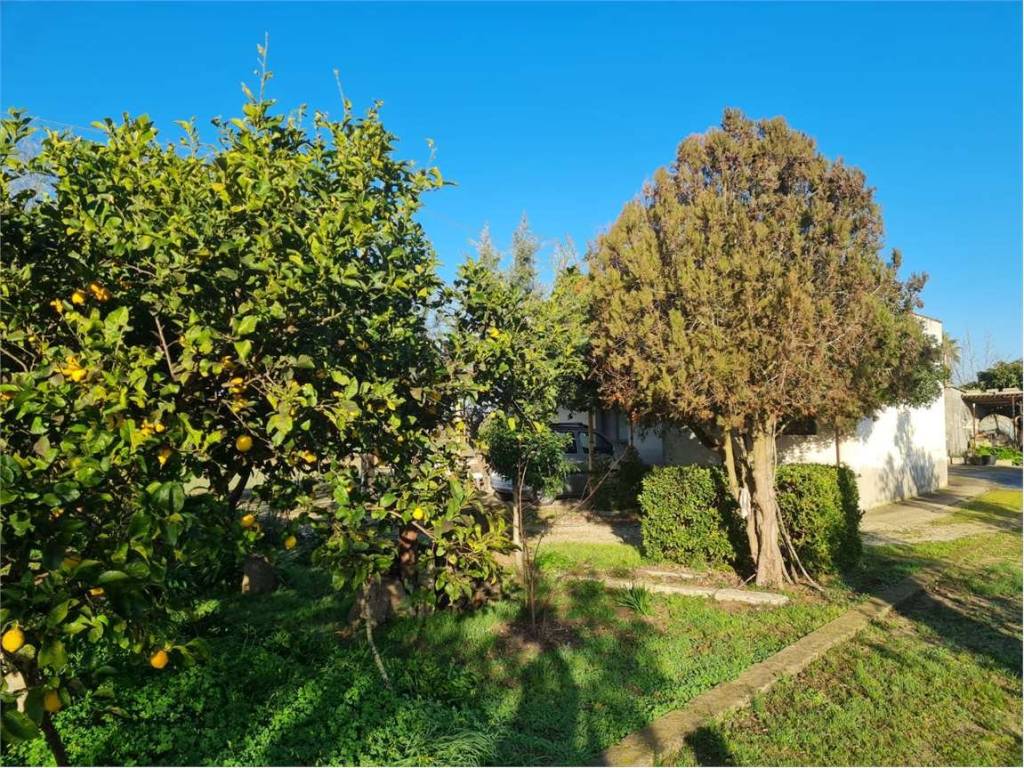 Casa indipendente a Cutrofiano - Foto 2