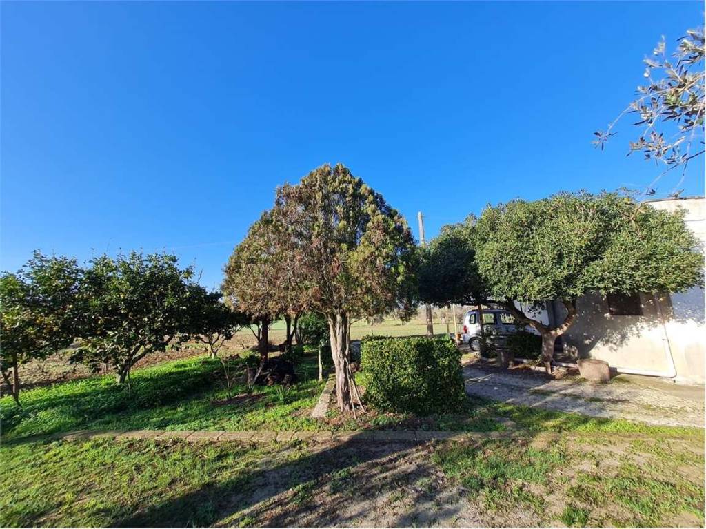 Casa indipendente a Cutrofiano - Foto 3