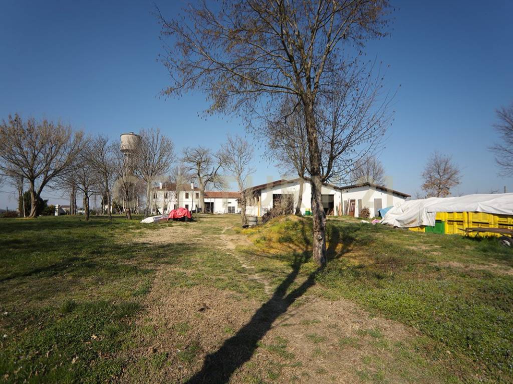 Terreno a Minerbe in Via Trento, 70 - Foto 2