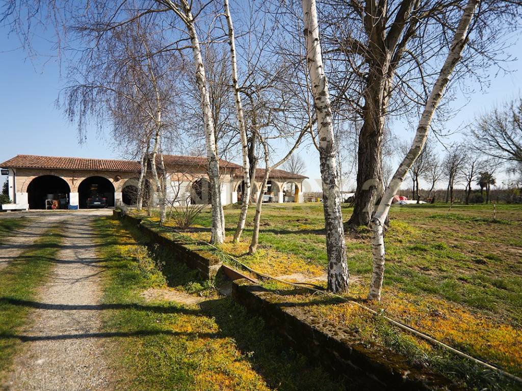 Terreno a Minerbe in Via Trento, 70 - Foto 5