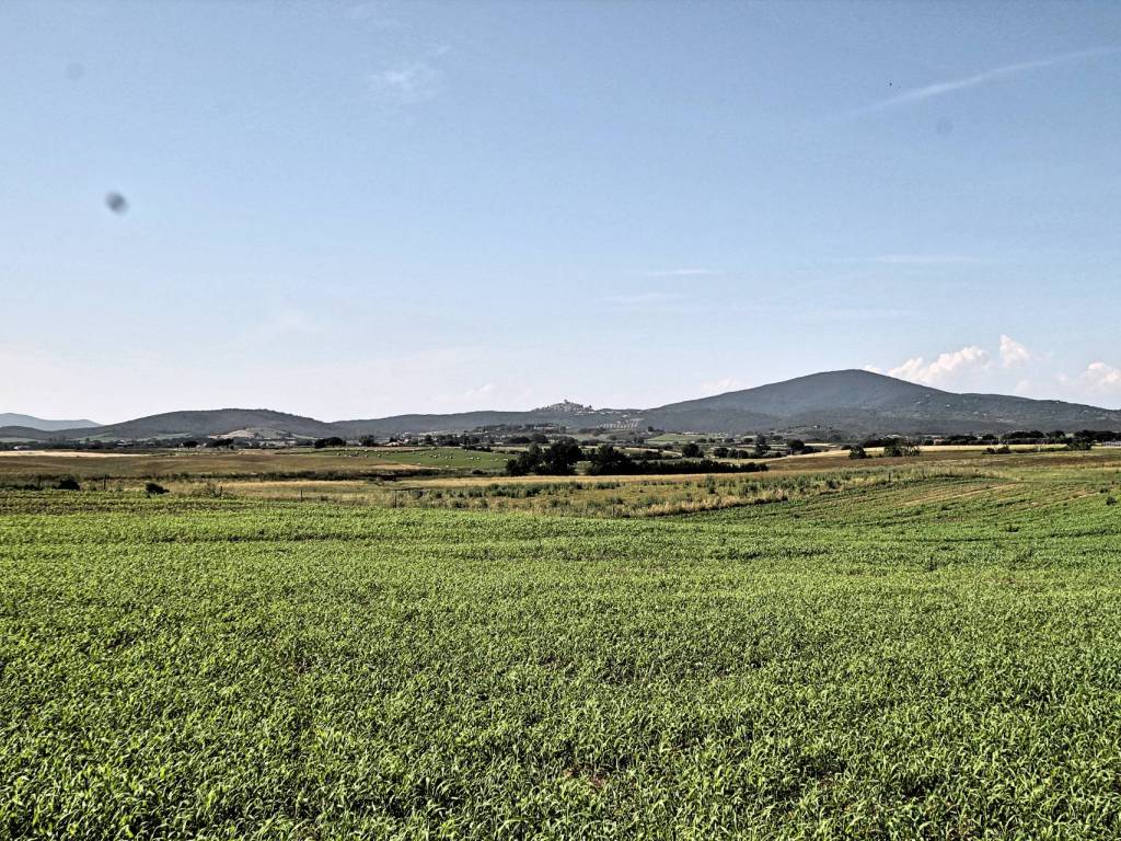 Terreno a Capalbio in Località Centro H - Foto 2