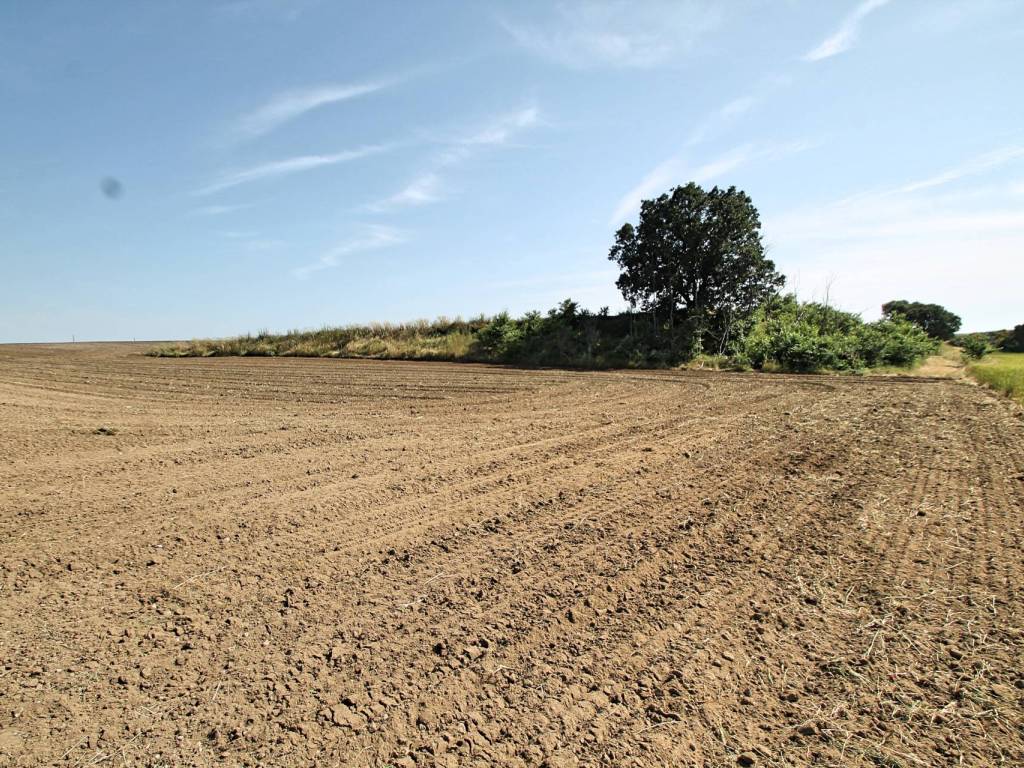 Terreno a Capalbio in Località Centro H - Foto 3