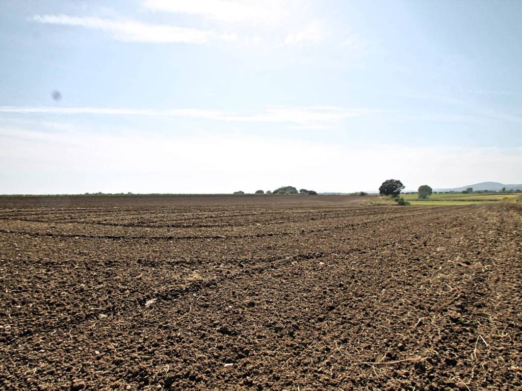 Terreno a Capalbio in Località Centro H - Foto 4