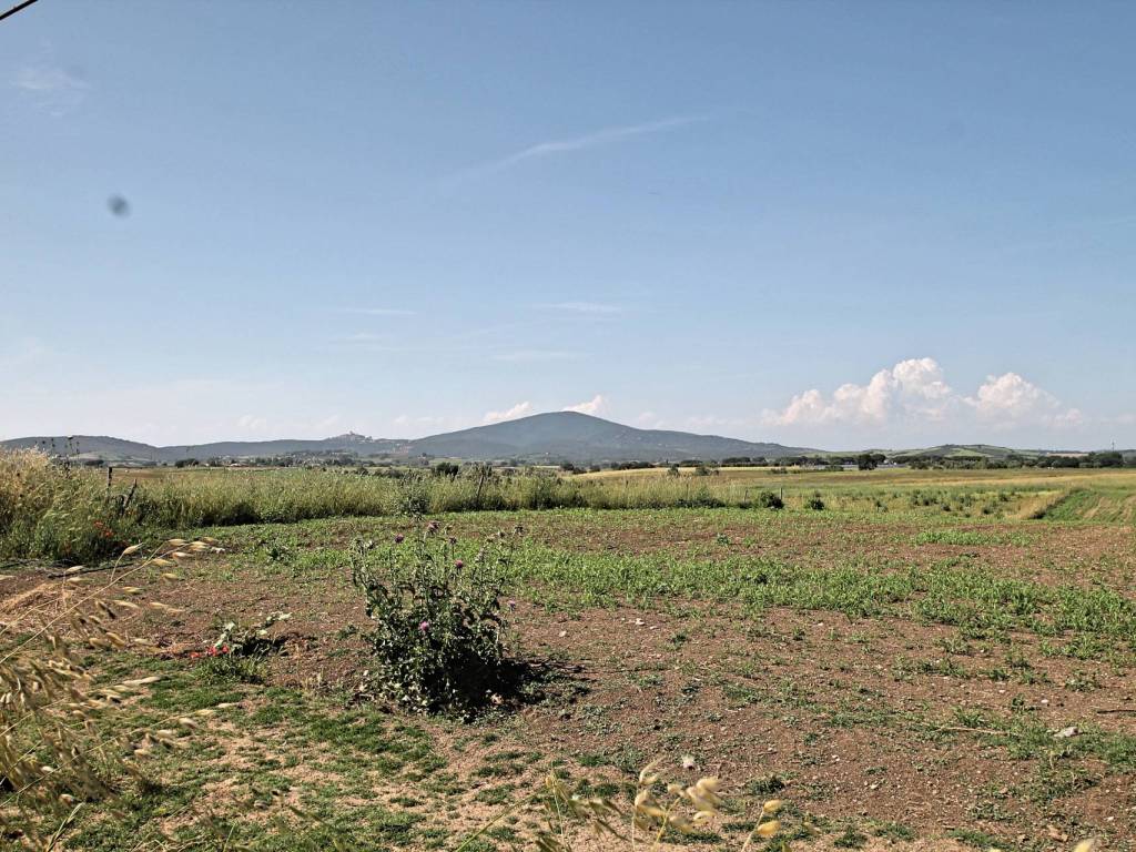 Terreno a Capalbio in Località Centro H - Foto 5