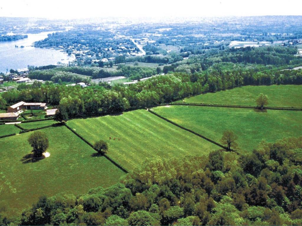 Terreno a Dormelletto in Via Ribot - Foto 4