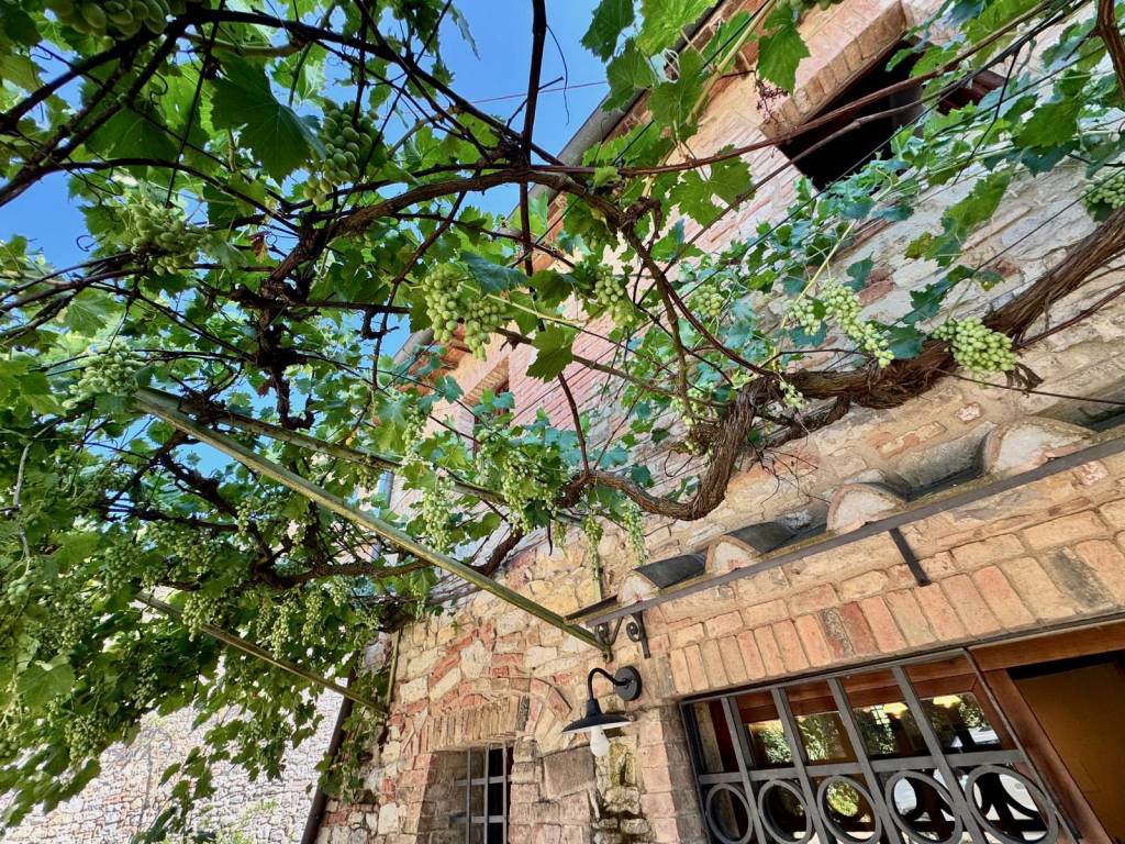 Villa a Castelnuovo berardenga in Località Bossi - Foto 3