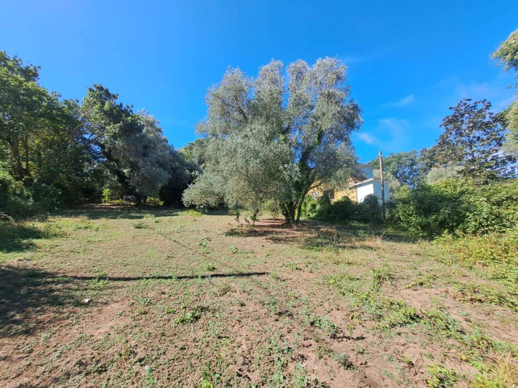 Terreno a Manziana in Via dell'Agrifoglio - Foto 4