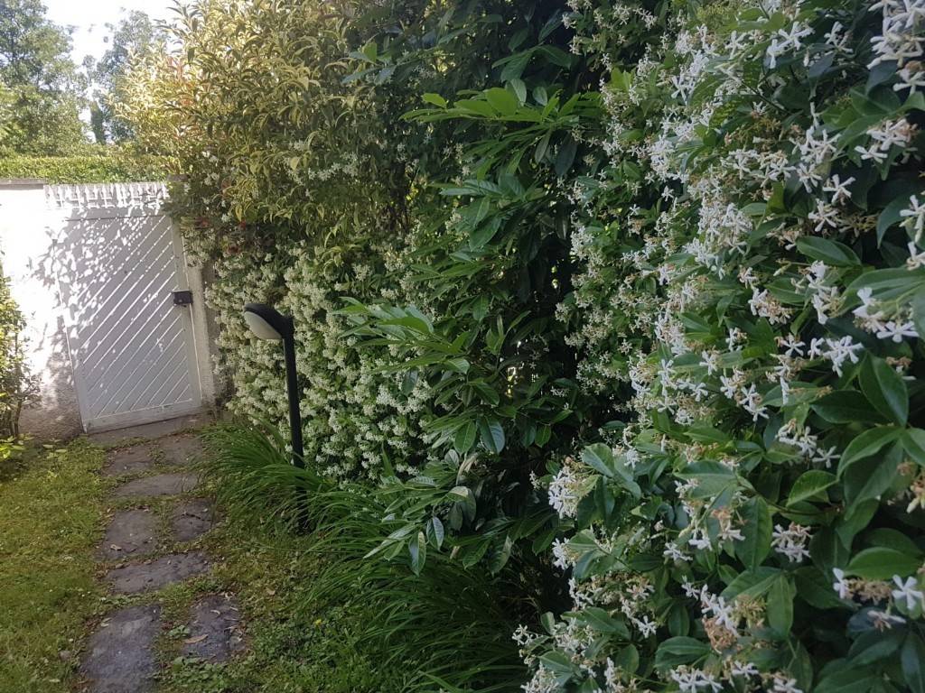 Villa a Forte dei marmi in Via Giulio Regeni, 9 - Foto 4