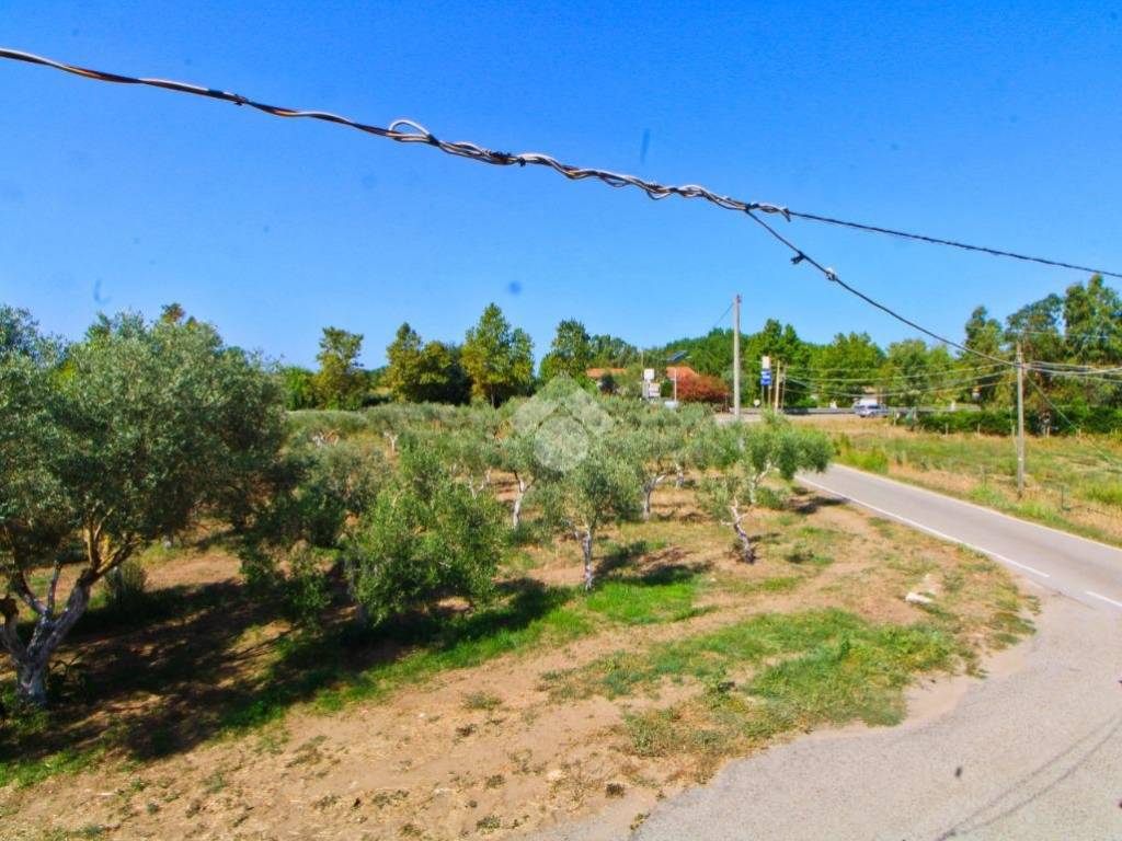 Rustico / casale a Ascea in Contrada Paino, 4 - Foto 5