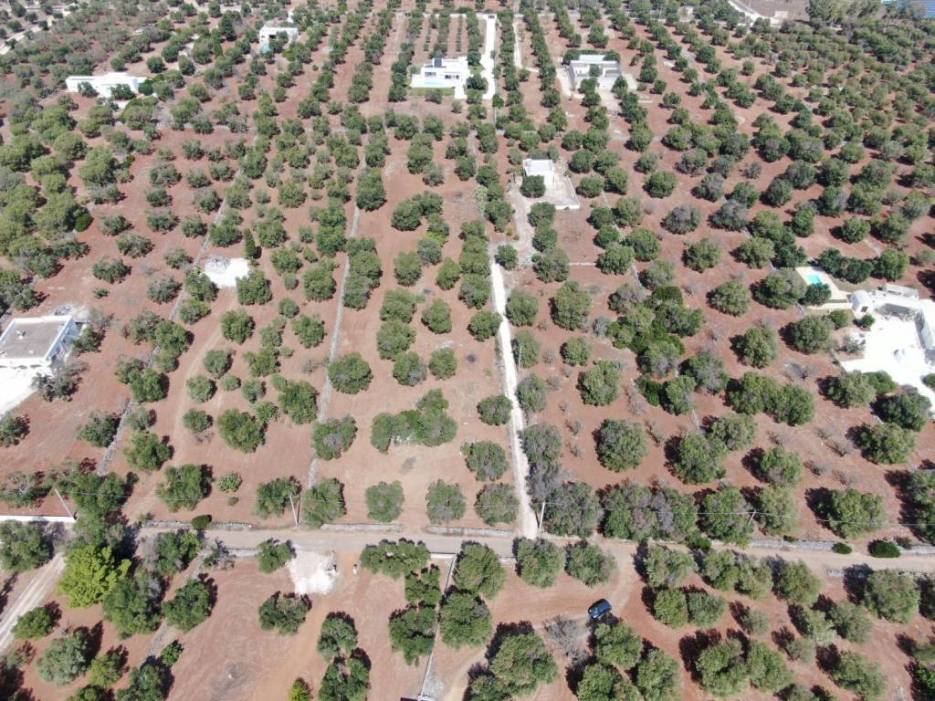 Terreno a Carovigno in Contrada Bufalaria - Foto 2