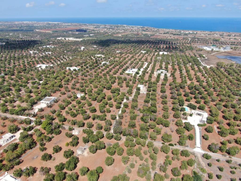 Terreno a Carovigno in Contrada Bufalaria - Foto 3