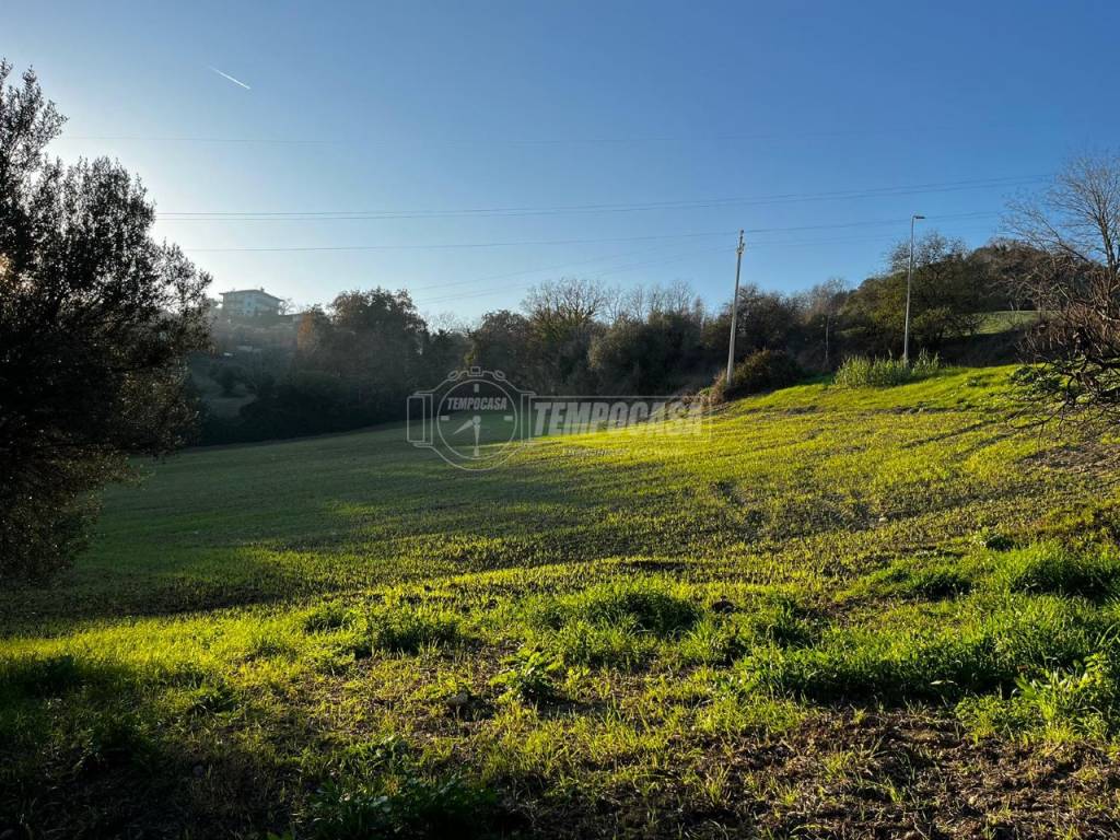 Terreno a Colonnella in Contrada San Martino 135 - Foto 4