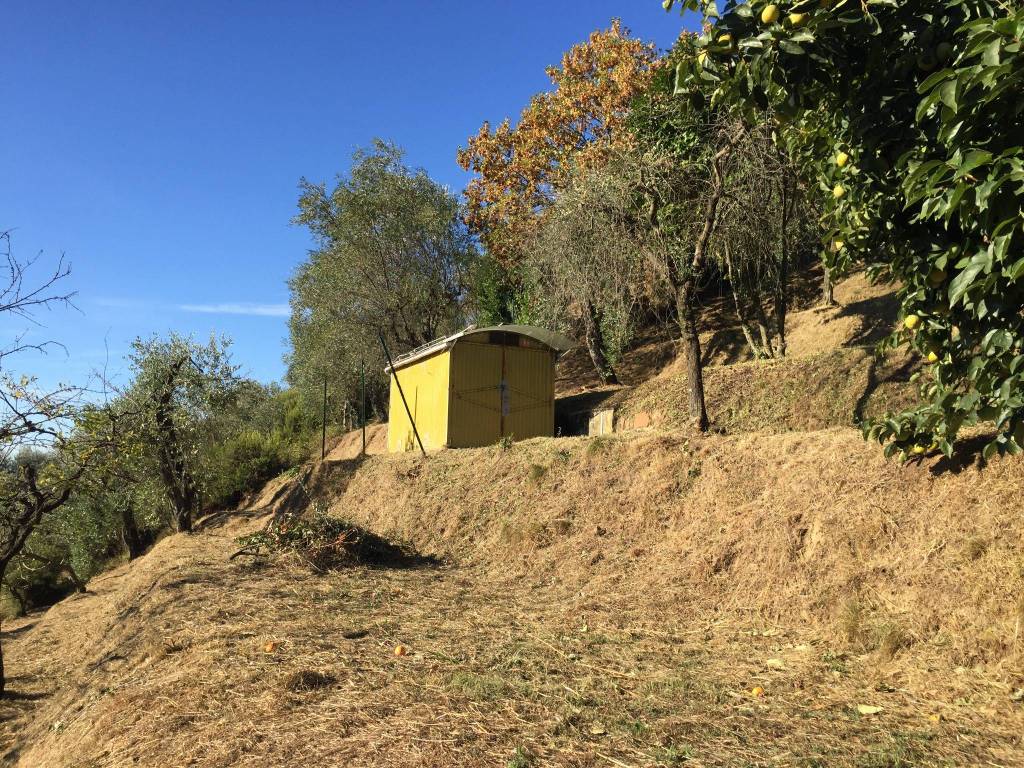 Terreno a Massa e cozzile in Strada Provinciale Massa Cozzile e Macchino, 8 - Foto 2