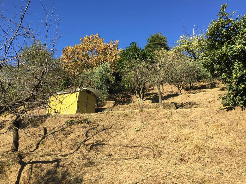 Terreno a Massa e cozzile in Strada Provinciale Massa Cozzile e Macchino, 8 - Foto 3