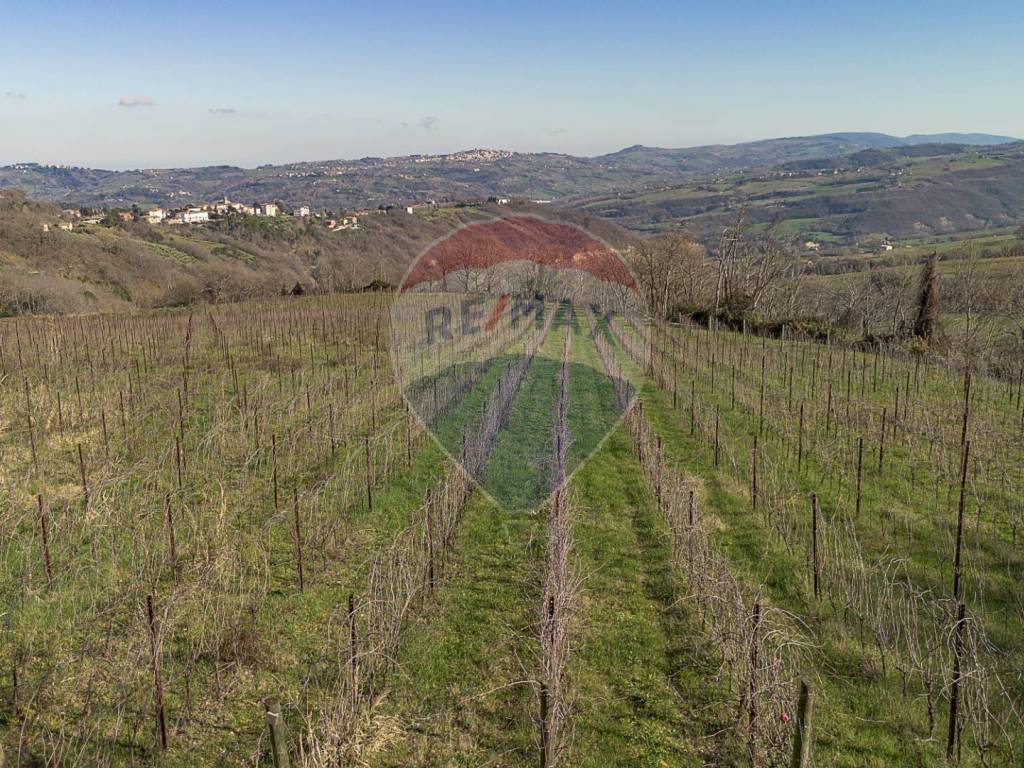 Terreno a Mergo in Via Maria delle stelle - Foto 2