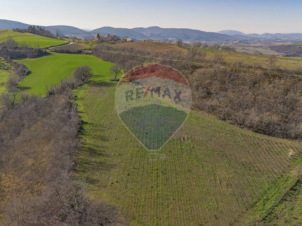 Terreno a Mergo in Via Maria delle stelle - Foto 4