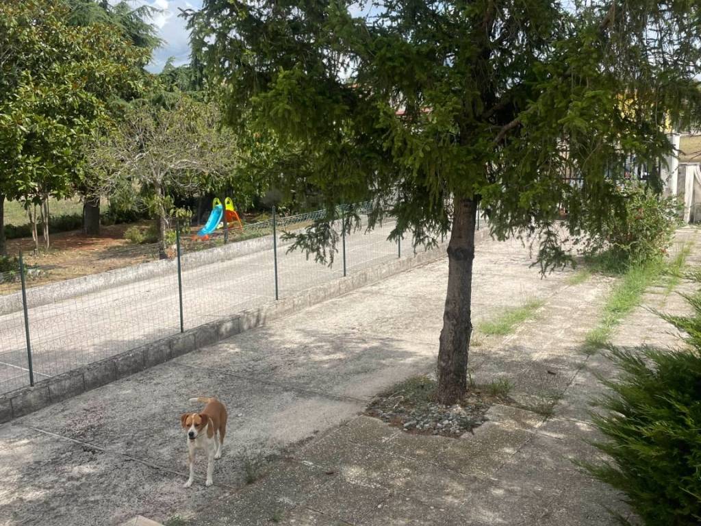 Villa a Cervaro in Via Braccio di Croce, 26 - Foto 5