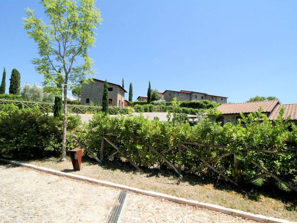 Rustico / casale a Scansano - Foto 5