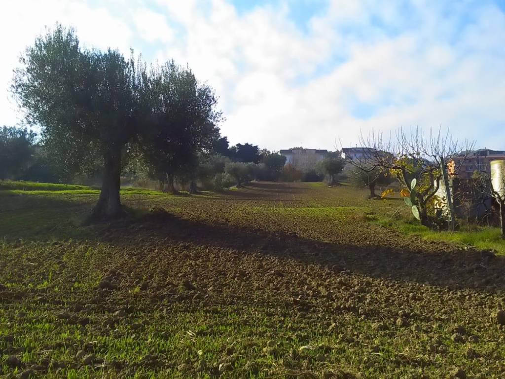 Terreno a Monteprandone in contrada bora ragnola - Foto 2