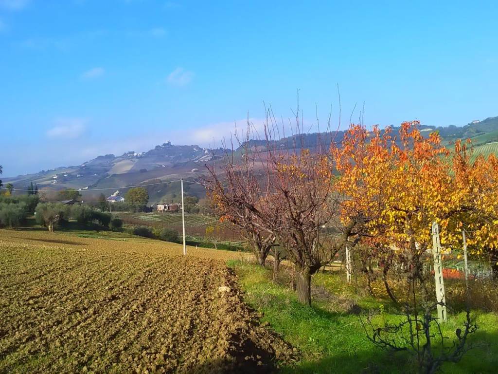 Terreno a Monteprandone in contrada bora ragnola - Foto 3
