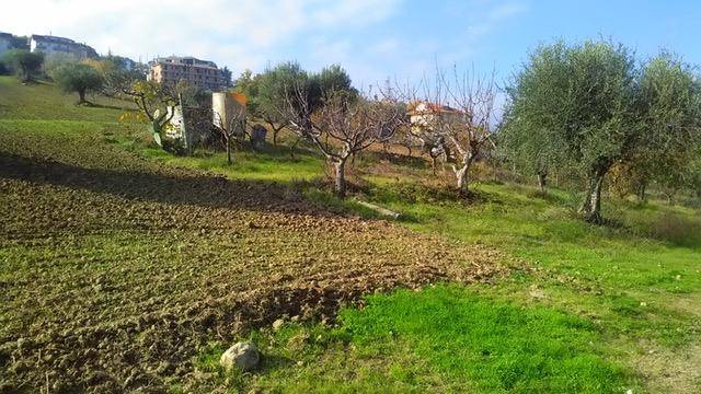 Terreno a Monteprandone in contrada bora ragnola - Foto 4