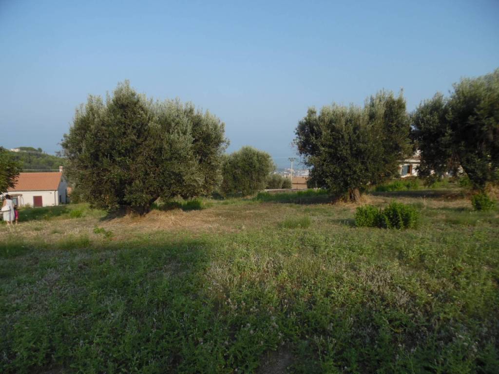 Terreno a Colonnella in Contrada San Martino - Foto 4