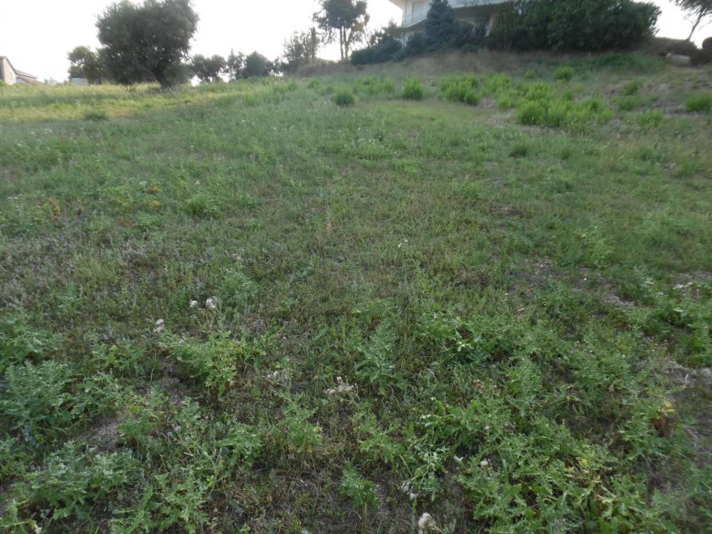 Terreno a Colonnella in Contrada San Martino - Foto 5