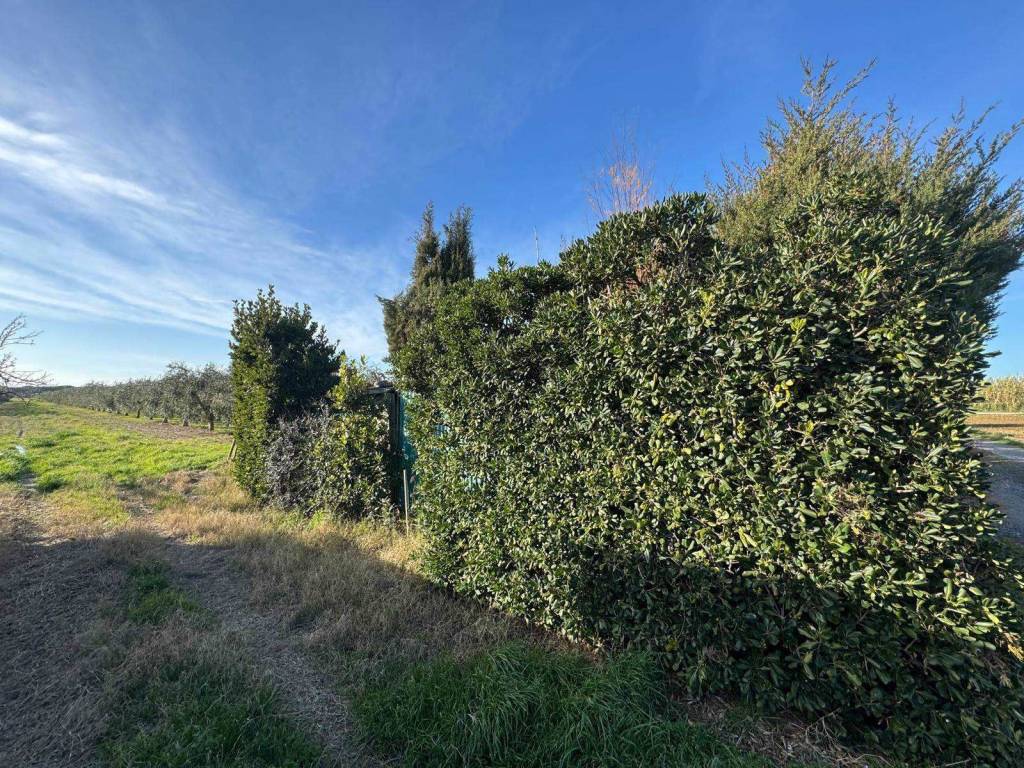 Terreno a Bibbona in Via Carlo Eberle - Foto 2