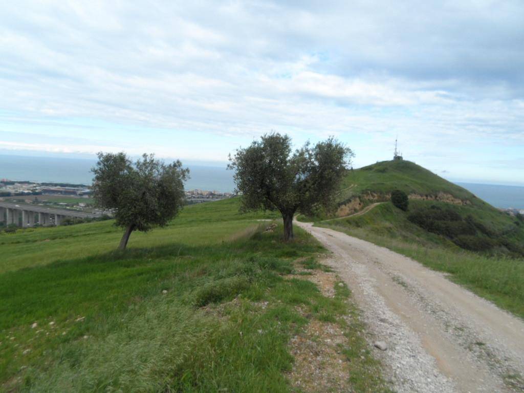 Rustico / casale a San benedetto del tronto in Contrada Colle Monte Renzo - Foto 2